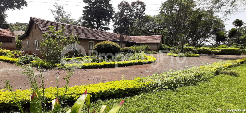 Bungalow Houses for rent Muthaiga North Nairobi - 0