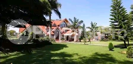 Houses for rent Muthaiga North Nairobi - 0