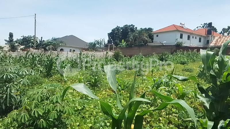 Land for sale Bweyogerere kirinya namataba  Kira Wakiso Central - 2