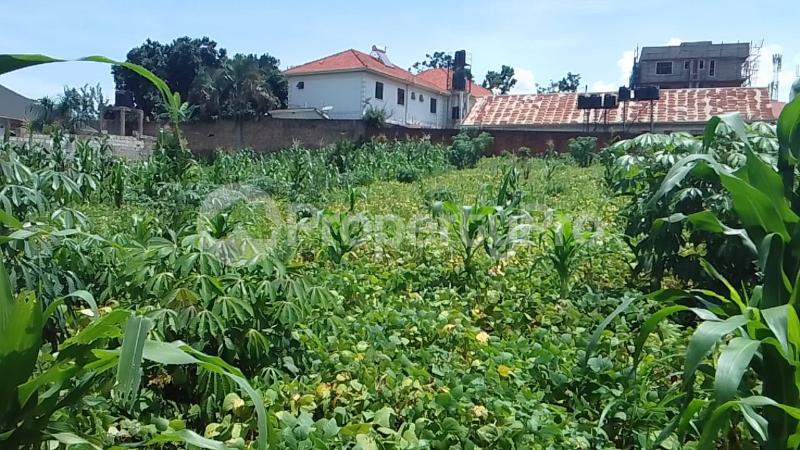 Land for sale Bweyogerere kirinya namataba  Kira Wakiso Central - 4