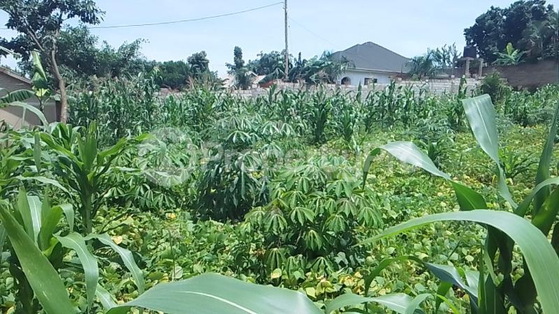 Land for sale Bweyogerere kirinya namataba  Kira Wakiso Central - 3