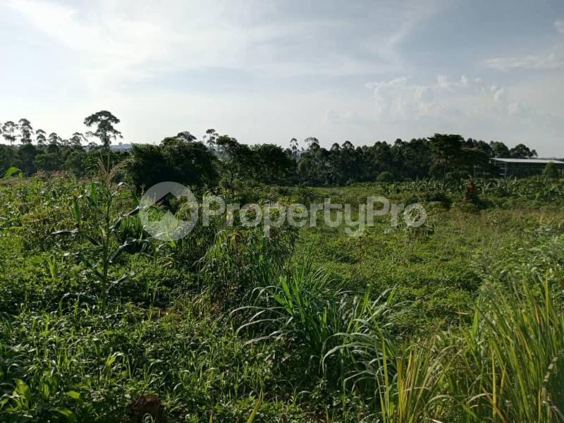Land for sale Kayunga bugerere Kayunga Central - 1
