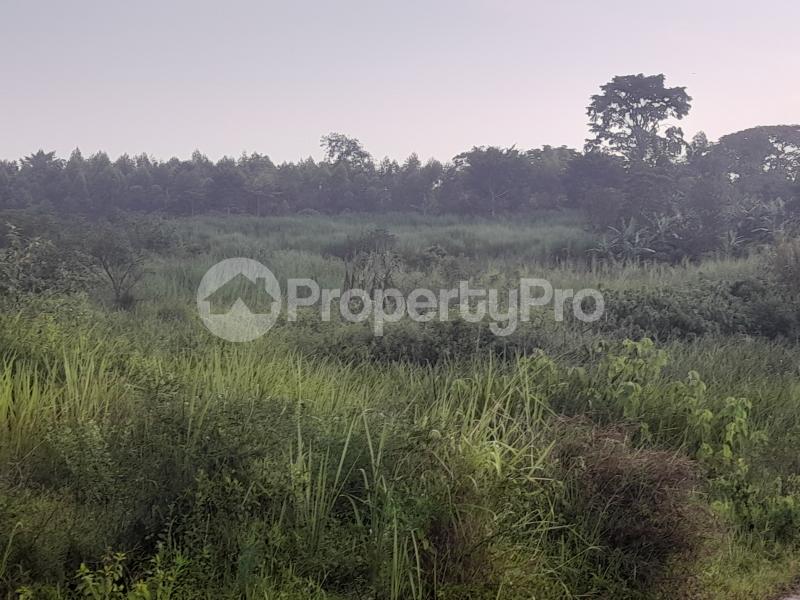 Land for sale Nagojje, Nakifuma Subcounty  Mukono Mukono Central - 4