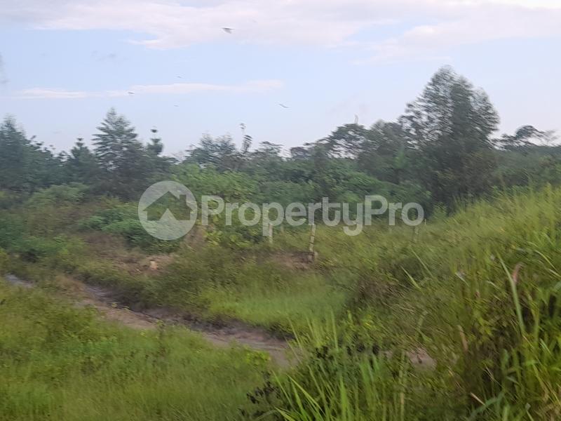 Land for sale Nagojje, Nakifuma Subcounty  Mukono Mukono Central - 0