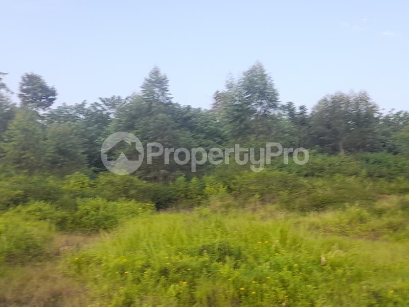 Land for sale Nagojje, Nakifuma Subcounty  Mukono Mukono Central - 3