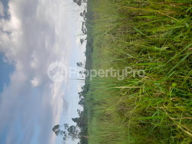 Land for sale Nagojje, Nakifuma Subcounty  Mukono Mukono Central - 1