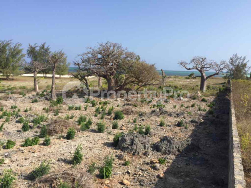 Land for sale Watamu, Kilifi Kilifi