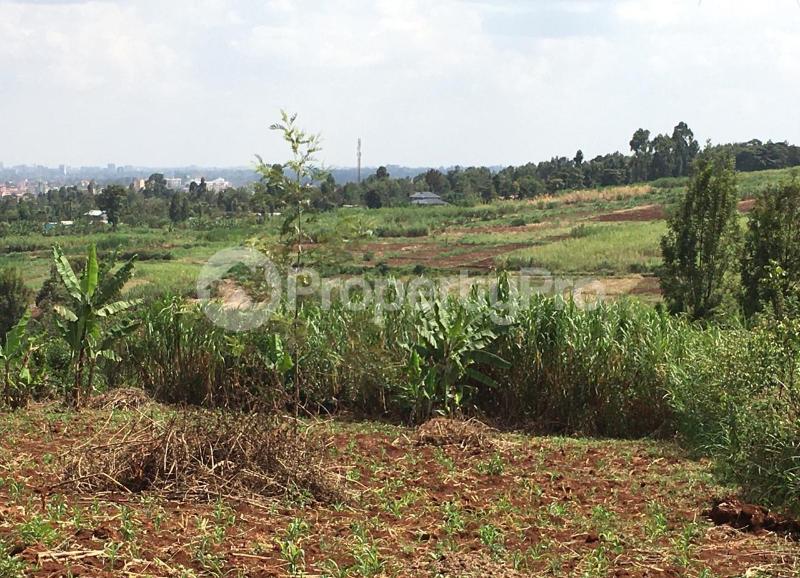 Land for sale Kiambu, Kiambu Kiambu Kiambu (PID 7ADEB) PropertyPro