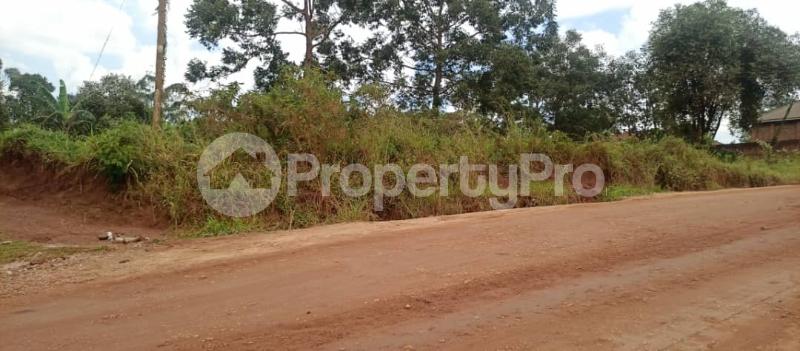 Land for sale New kasangati matuga road  Kawempe Wakiso Central - 4