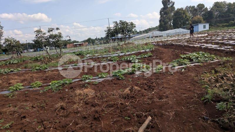 Land for sale Limuru Central Kiambu