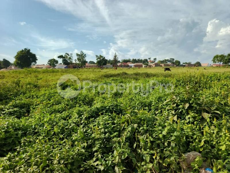 Land for sale Mukono katosi road  Mukono Mukono Central - 2