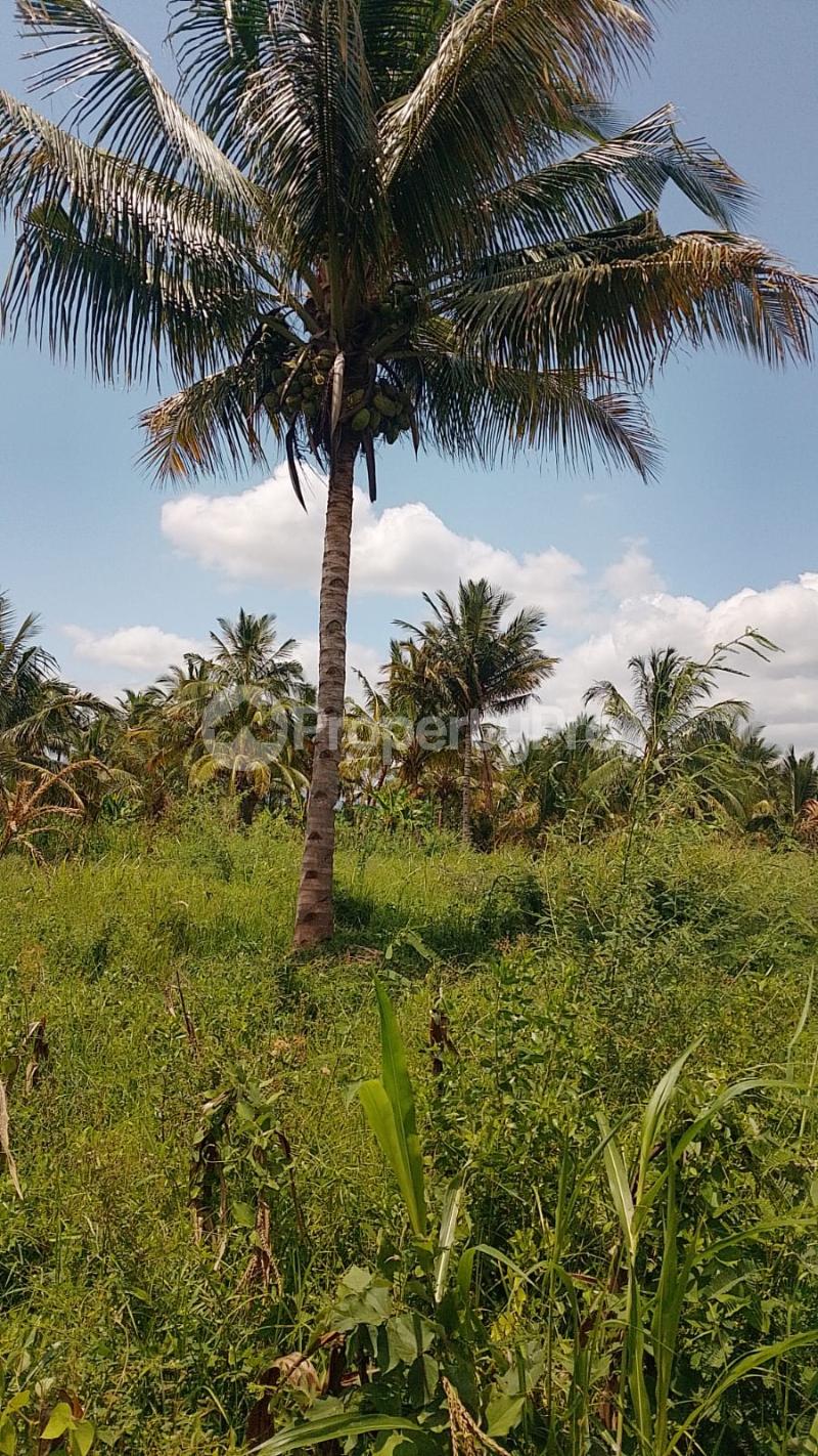 Land for sale Taveta Taita-Taveta