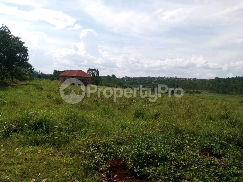Land for sale Gayaza road dundu Bukerere Mukono Central - 3