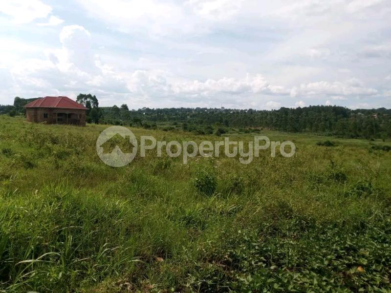 Land for sale Gayaza road dundu Bukerere Mukono Central - 2