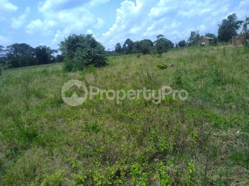 Land for sale Busika  Luweero Central - 3