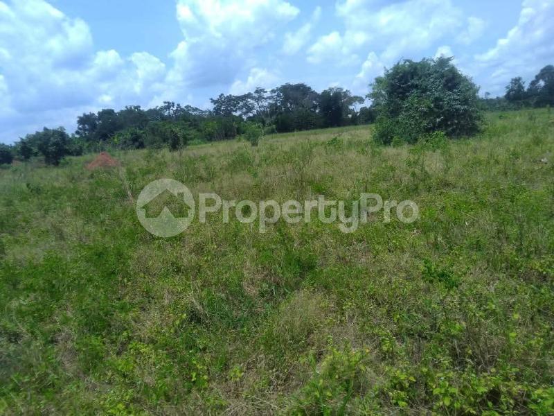 Land for sale Busika  Luweero Central - 0