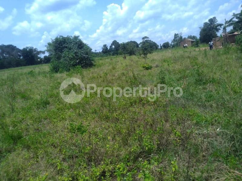 Land for sale Busika  Luweero Central - 1