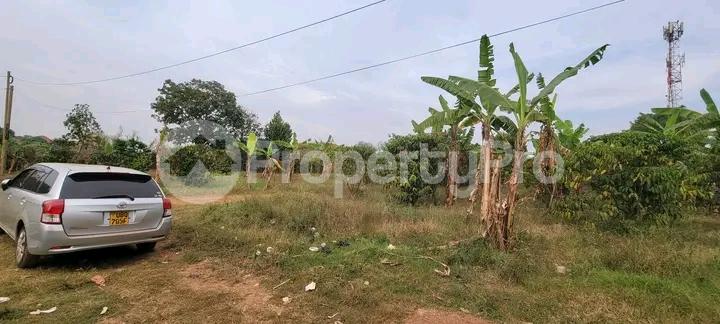 Land for sale Kisaasi bukoto road  Kampala Central - 2