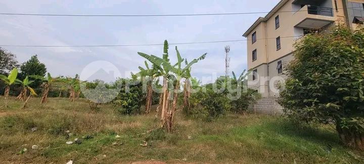 Land for sale Kisaasi bukoto road  Kampala Central - 3
