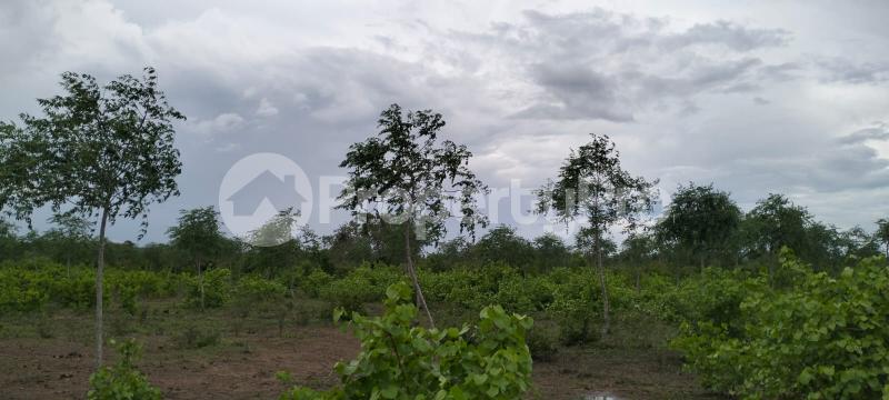 Land for sale Malindi Kilifi