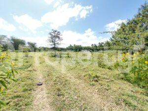 Land for sale Nanyuki Nanyuki