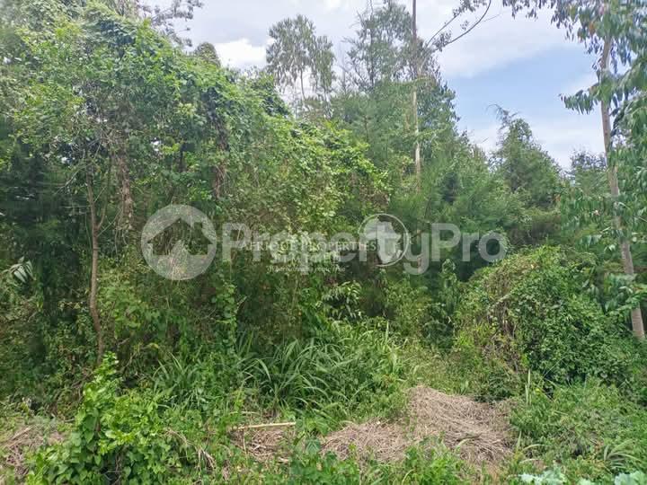 Land for sale Nanyuki Nanyuki