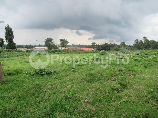 Land for sale Kikuyu Town Kikuyu Kiambu