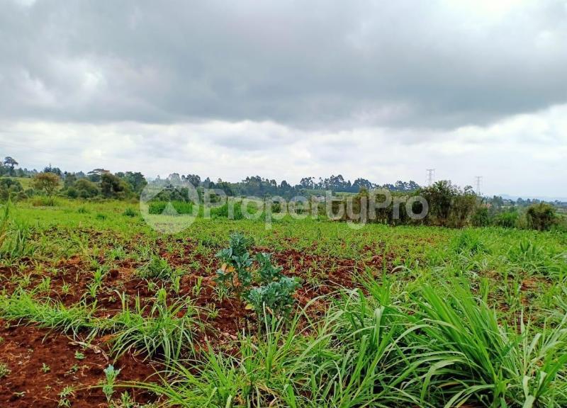 Land for sale Ngecha Kabuku Road, Redhill, Nairobi Redhill Nairobi (PID