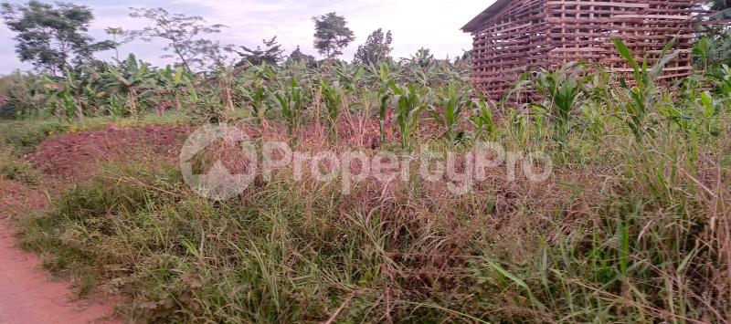 Land for sale Busika town council  Gayaza Wakiso Central - 3