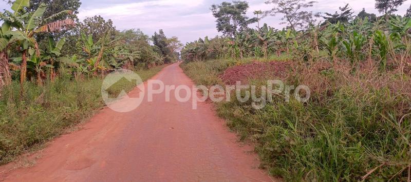 Land for sale Busika town council  Gayaza Wakiso Central - 0