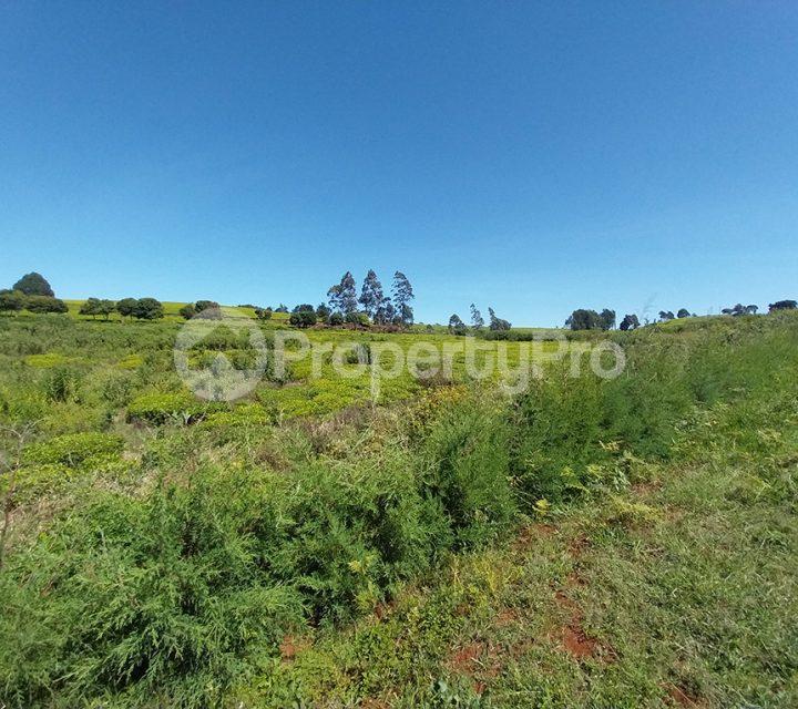 Land for sale Tigoni Limuru