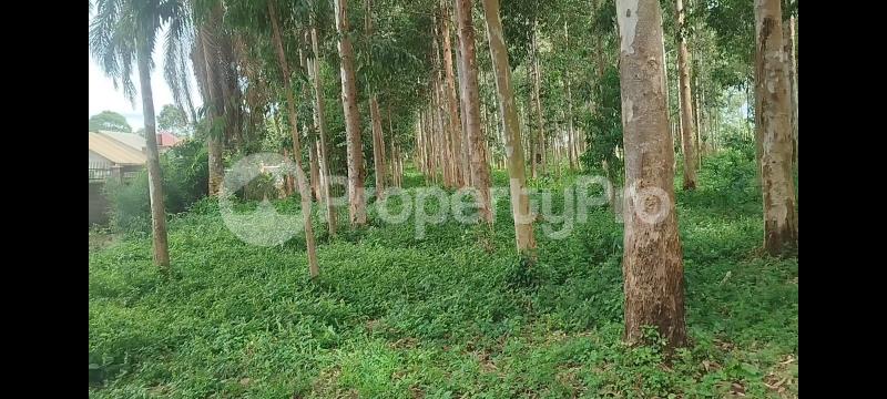Land for sale Nkumba Wakiso Central - 3