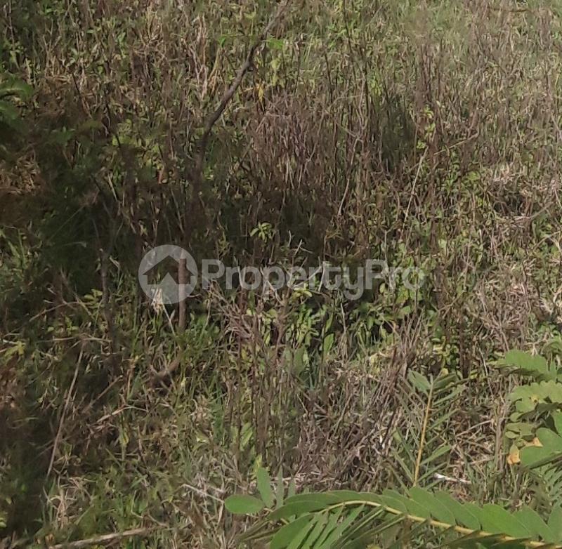 Agricultural Land for sale Laikipia Laikipia - 0