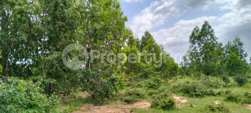 Land for sale Magarini Kilifi