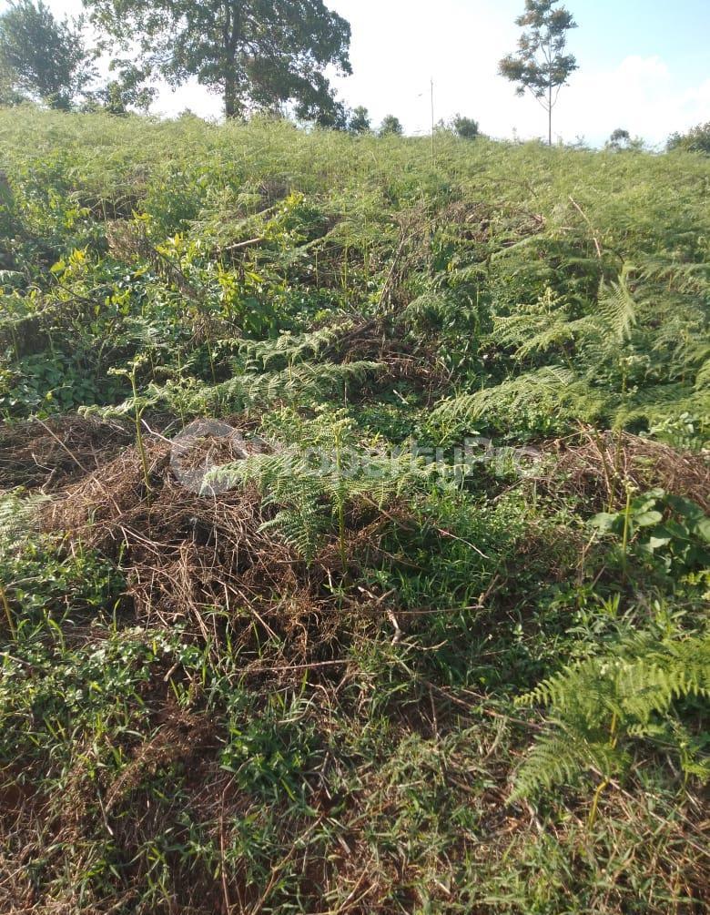 Land for sale Limuru, Tigoni Tigoni Limuru (PID 8ADDA) PropertyPro