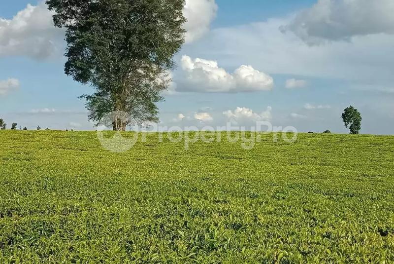 Land for sale Tigoni Limuru - 0