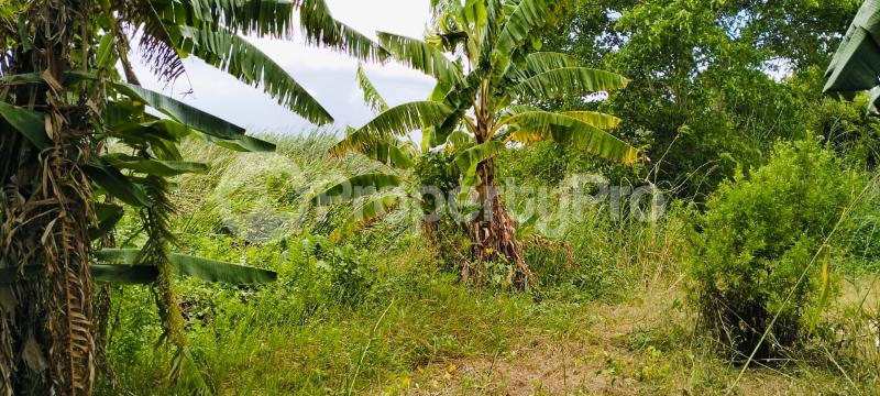 Land for sale Malindi Kilifi