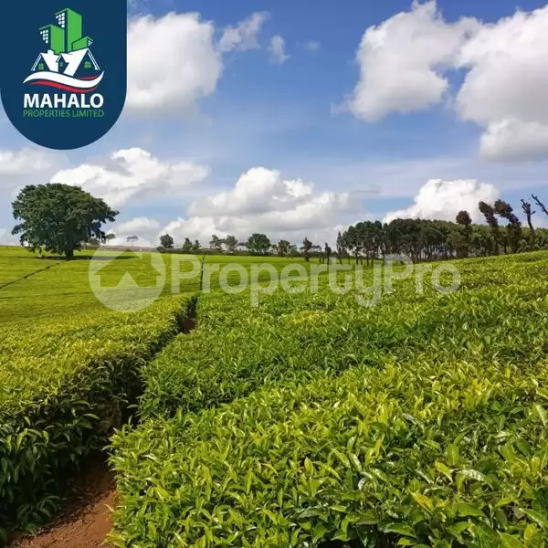 Land for sale Kiambu Kiambu
