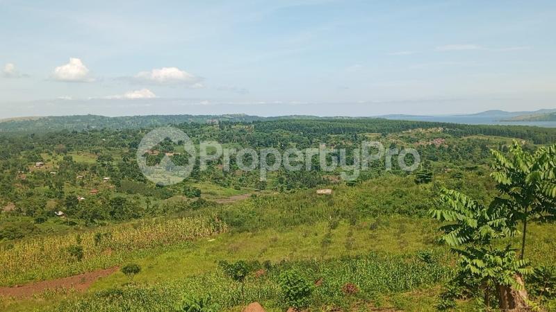 Land for sale Nkokonjeru katosi road  Buikwe Central - 5