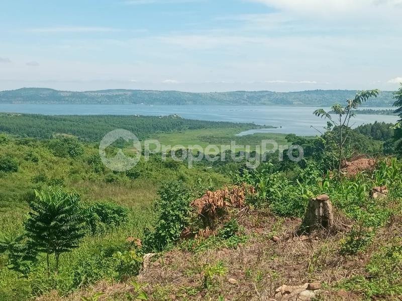 Land for sale Nkokonjeru katosi road  Buikwe Central - 0