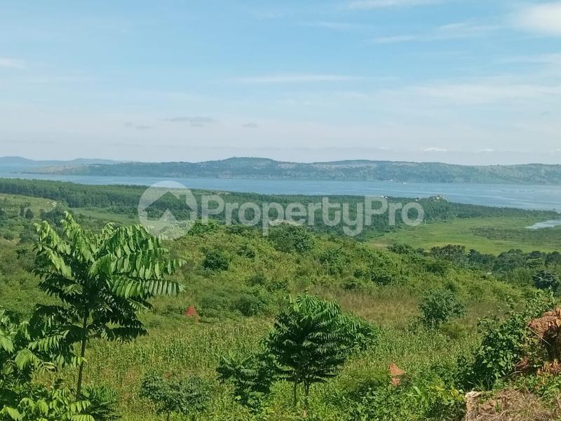 Land for sale Nkokonjeru katosi road  Buikwe Central - 1