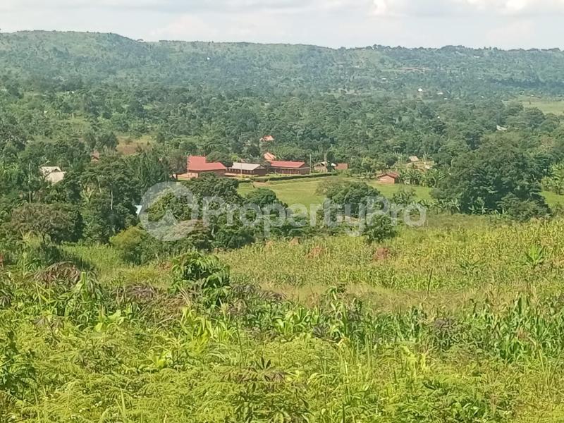 Land for sale Nkokonjeru katosi road  Buikwe Central - 2