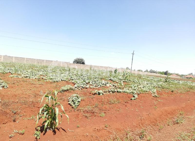 Land for sale Nairobi, Runda Runda Nairobi (PID 9ACTH) PropertyPro