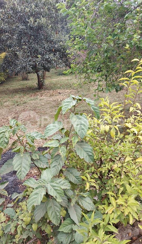 Land for sale Riverside Drive Road, Riverside, Nairobi Riverside