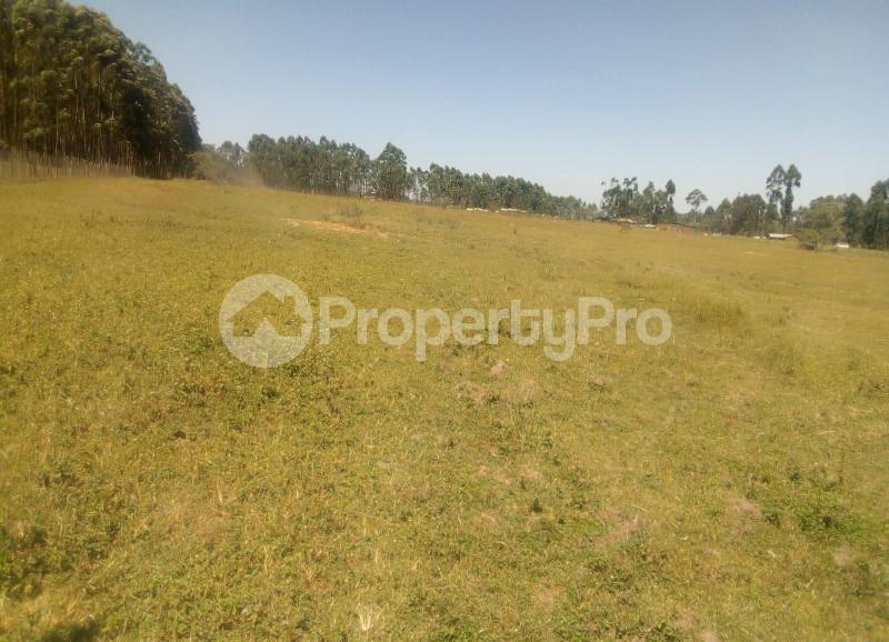 Land for sale Kitale, Kitale Town Kitale Town Kitale (PID 8ACSU