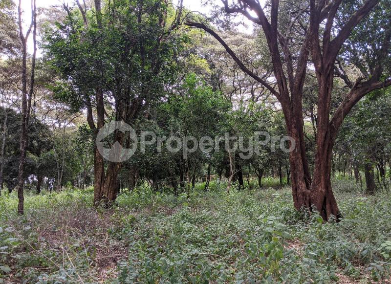 Land for sale Ngong View Rd, Karen, Nairobi Karen Nairobi (PID 0ACZN