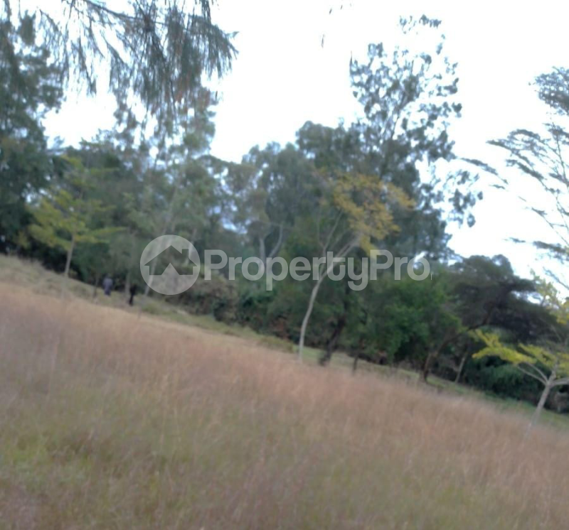 Land for sale Karen Nairobi