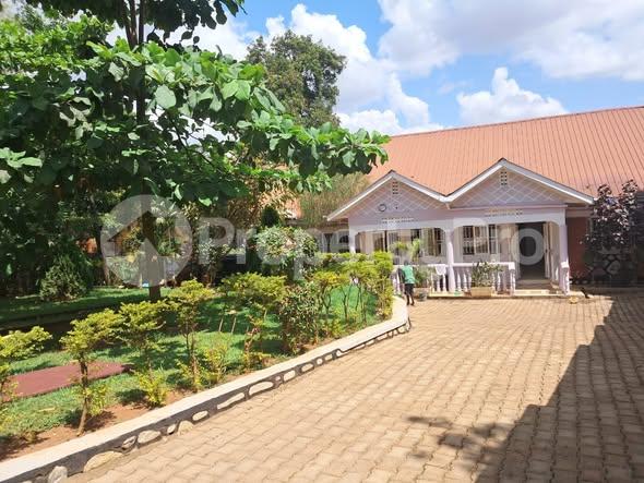 2 bedroom Bungalow Apartment for rent Kulambilo road Kampala Central - 10