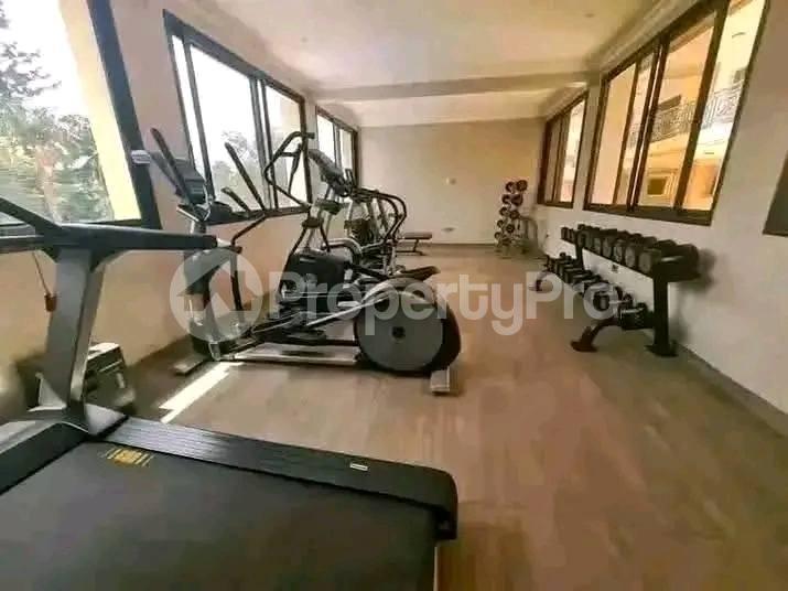 1 bedroom mini flat  Apartment Block Apartment for rent kololo road Kampala Central - 0