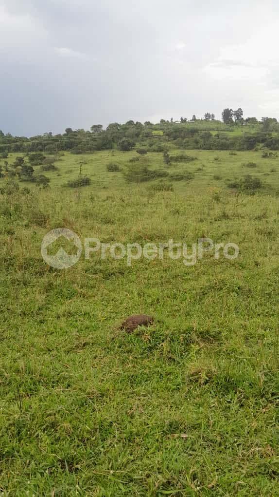 Land for sale Ibanda kazo Ibanda Western - 0